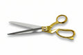 Hoge kwaliteit stoffen/openings schaar 28cm